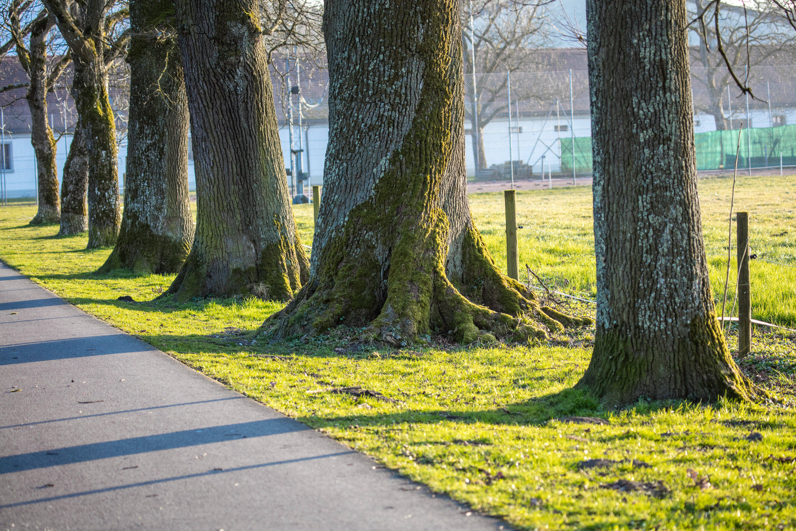 20160319174717 DP017868